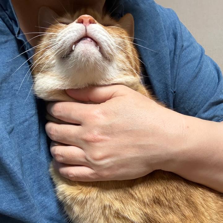 9a63d3da 249f 40d5 ad4c 83072d8131f3 1748775366953