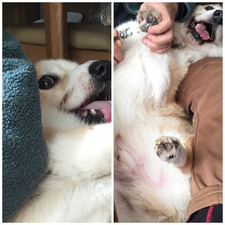 9a642068 2582 4864 b57a 265fc7ef364f 1546500445774