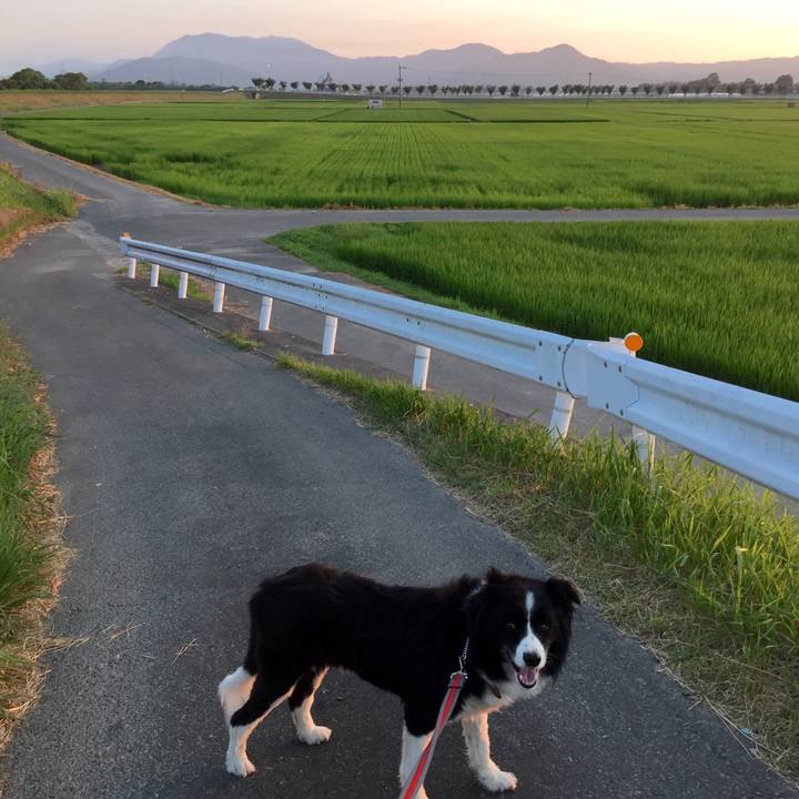 9a642e1e 4bb0 4038 ad61 1be5a289dd1b 1533675452801