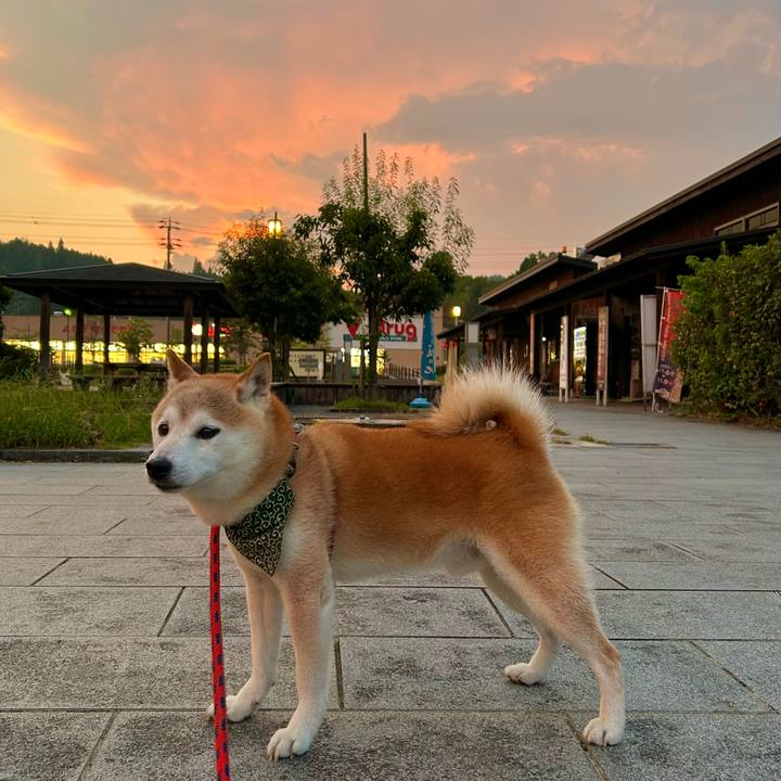 9a6437c0 62a7 4c02 9326 27640be19739 1758111695909