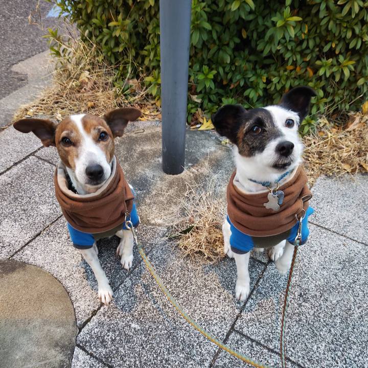 9a6476e5 3a98 4f0a a965 202cabb13113 1736977560874