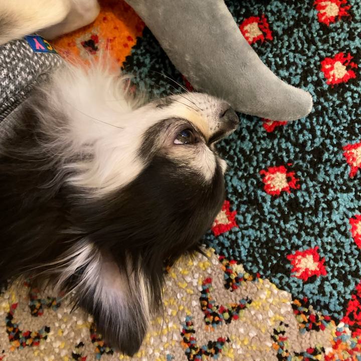 9a64c518 4bd8 4d19 97cd aa54b0deace5 1705751263195