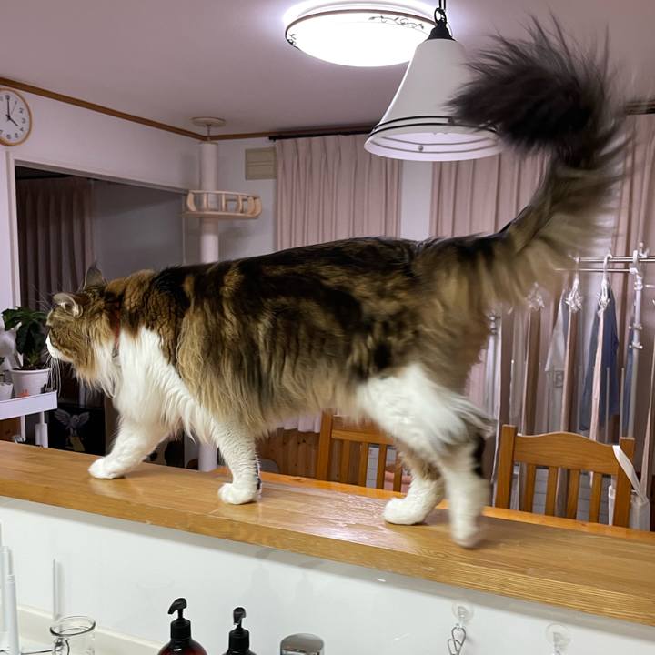 9a64ea5e 3220 4381 bf1a ed5f272160ec 1680808032927