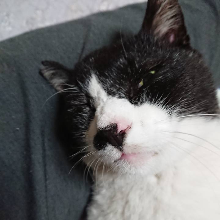 9a64ef6a 3f69 4355 b649 8d3c51df666c 1638865325026