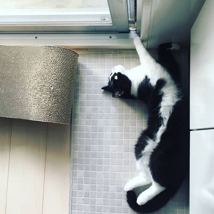 9a650e22 5203 4599 9d8e 48d2c9212b05 1627089003871