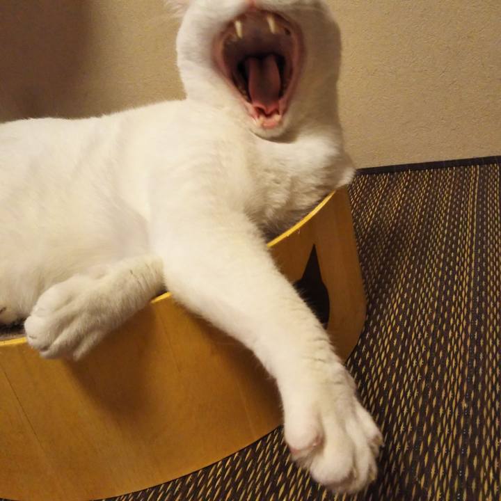 9a65464e 13d3 430f ab9c cefb9d4ee573 1590329691242