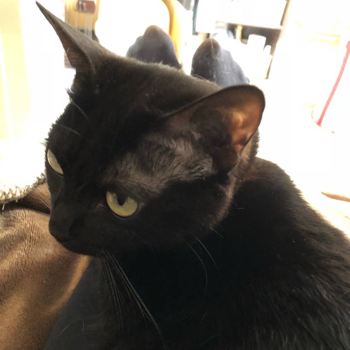 9a655265 669c 4899 9e77 90e11a3a6770 1521357839521