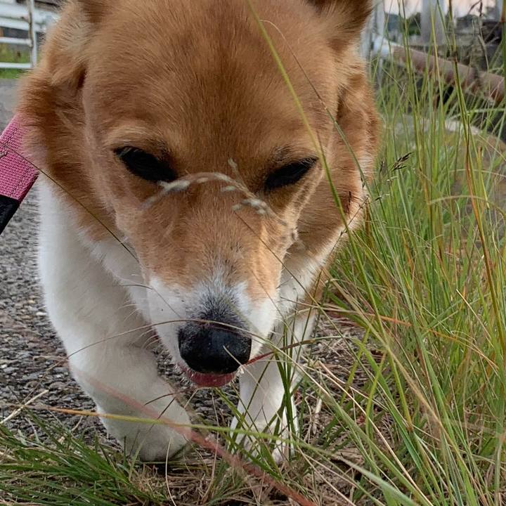 9a656584 9fb2 42b7 aefd 1cbd8bc460df 1700115924116