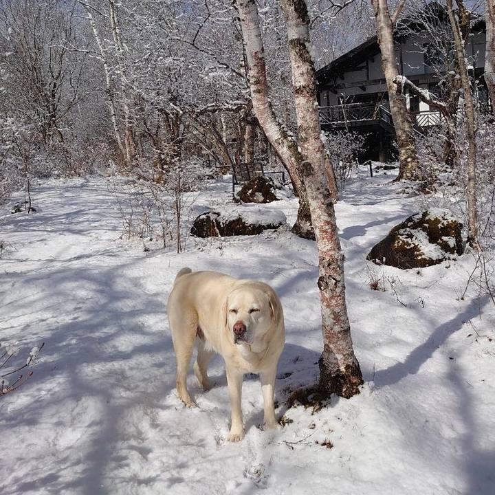 9a6568c2 62e2 454b 8c44 942f937b267c 1743731562875