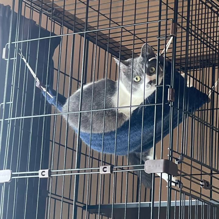 9a656da0 ec35 4a28 96e2 e9ee3a8a0341 1726964387504