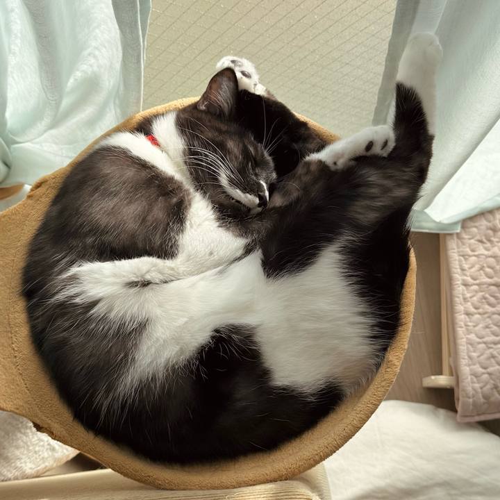 9a658886 0400 4185 bc8c a72cc7c905be 1764997561730