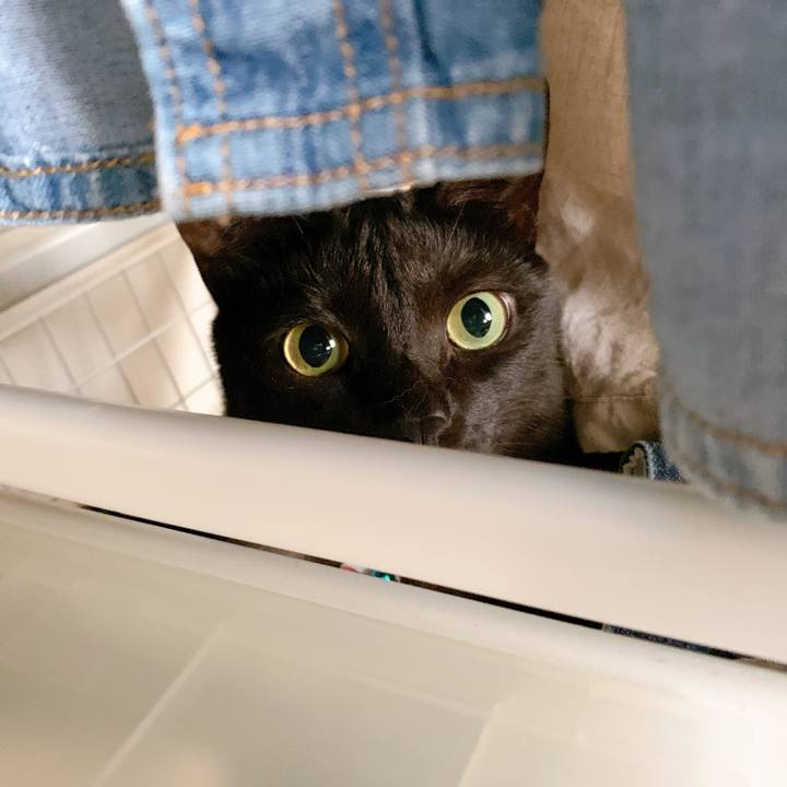 9a65973e 4c16 4166 87e3 a353c5ad94df 1560557042189