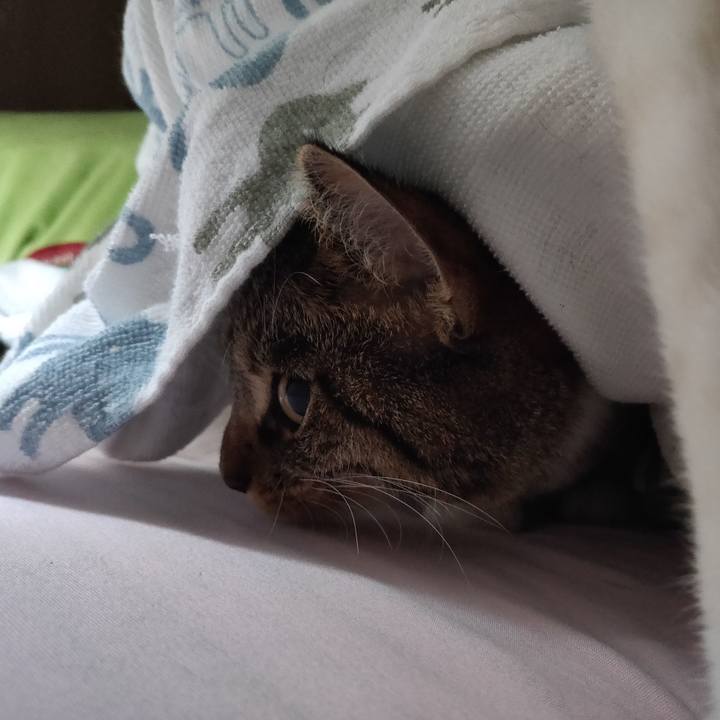 9a65adda 2b7f 4e20 b758 be049bbcbe4b 1660956173959