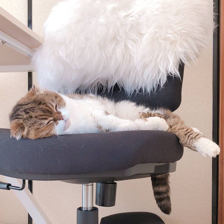 9a65e69c 3317 4596 bd70 a34348e95204 1623722567831