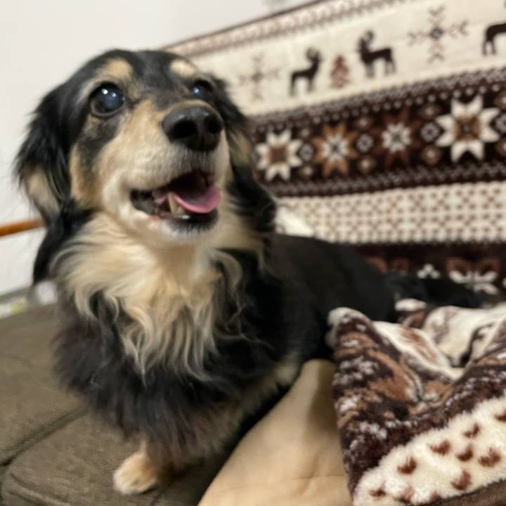 9a65ef34 ffe5 46f8 87ee 400c80274a4d 1677853147162