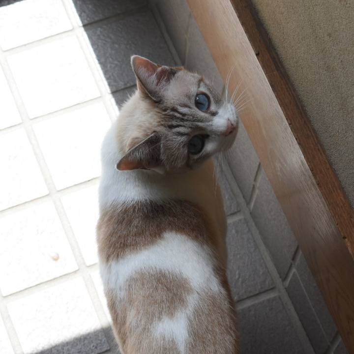 9a66023f 1d9e 4fb3 914e 48efdeba2b74 1537068806313