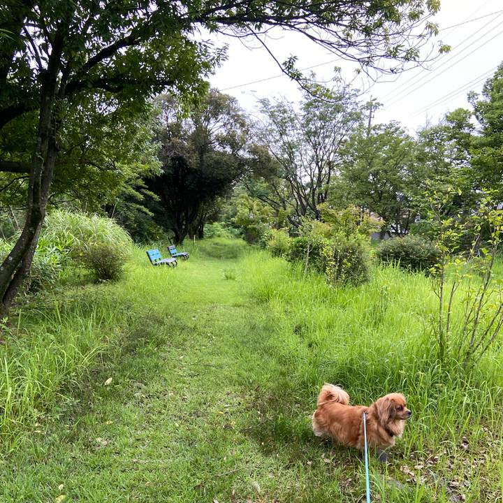 9a660c24 668e 49fa 9c65 eb15b5e3c861 1594934681728