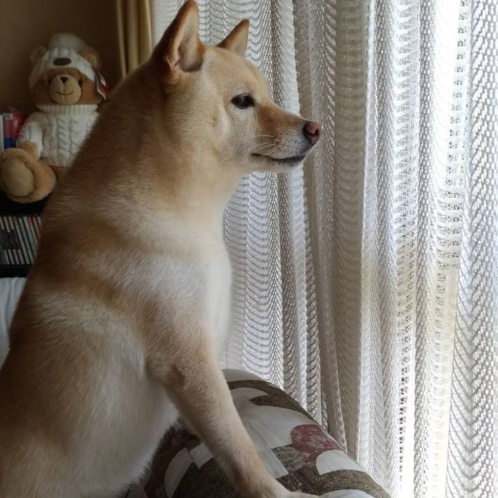 9a661e97 be36 496a 9581 66340cbdc0d8 1596682150189