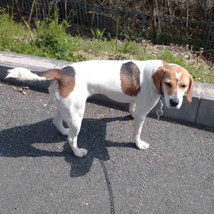 9a66460a 6ff8 4e60 8a67 89ff9fd91e06 1617255117888