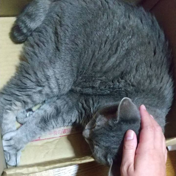 9a6668bf 2009 4a8b af20 0da4a0afa695 1663230121190