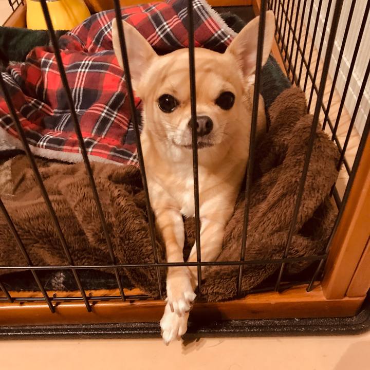 9a668353 340d 4480 8b42 673036449805 1548842492666