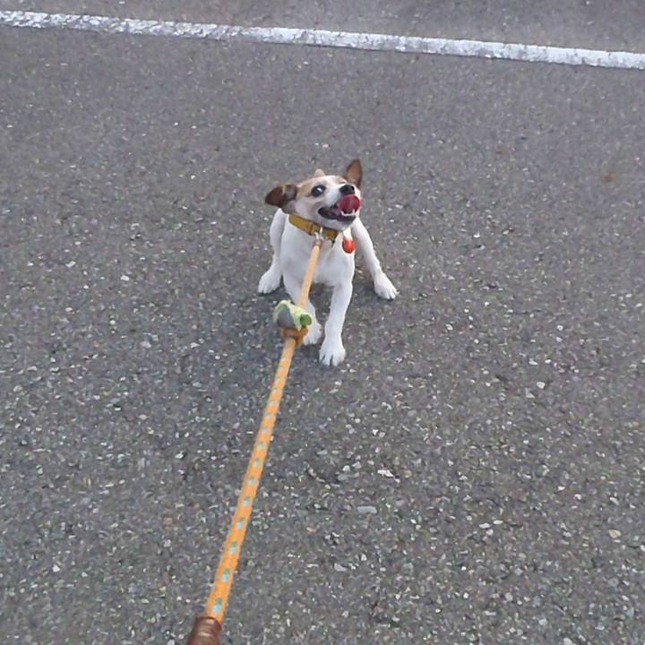 9a669660 42fc 4539 aa5a dfbdf975836e 1514178381585