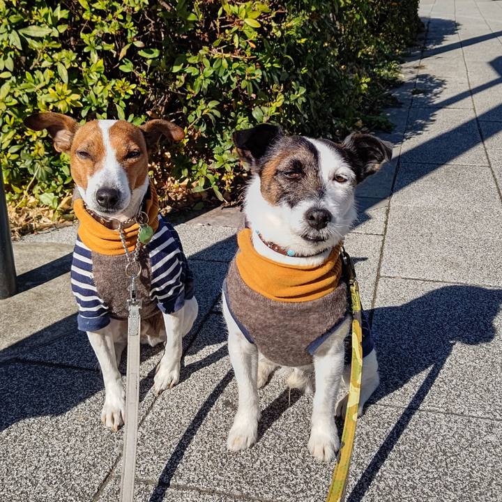 9a66bcd9 9c14 41a4 a933 99ff978c812f 1674974706344