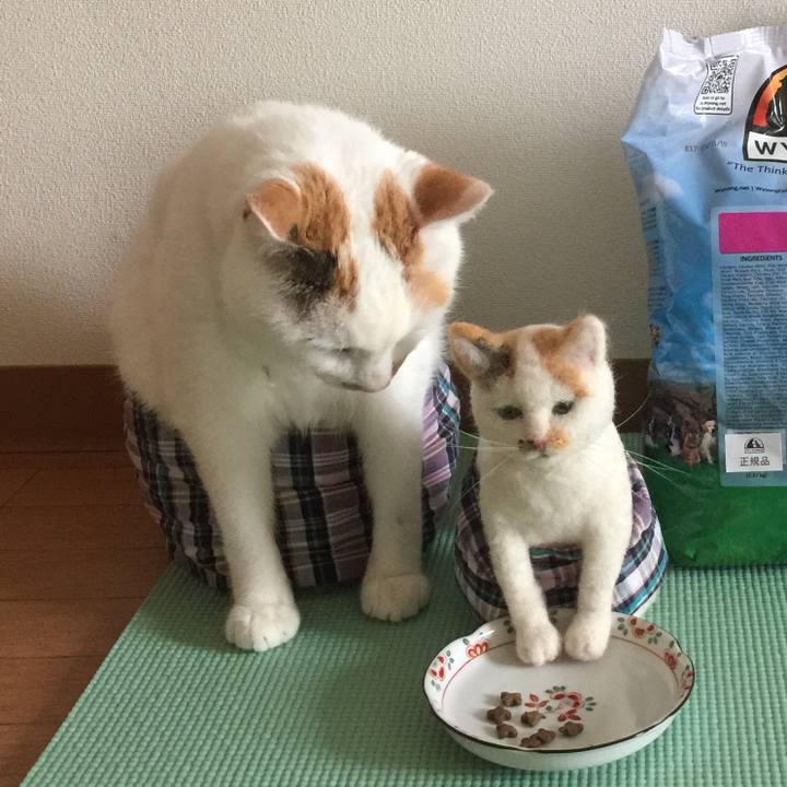 9a66cc98 9693 4b0d 9f7d 2aff7ed09403 1530973361282