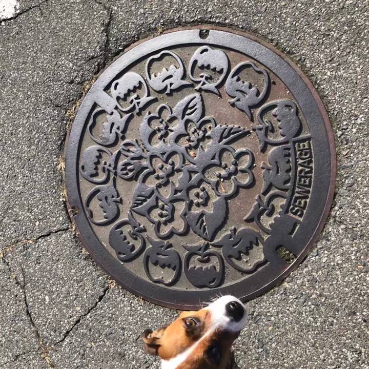 9a6703bc 138f 4a89 b6a6 44c432e3f6ab 1574850345943