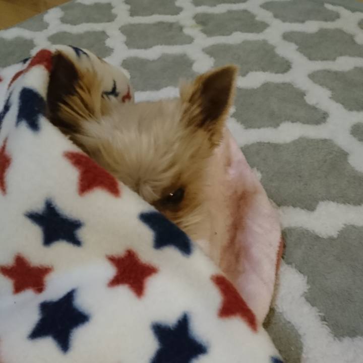 9a673388 2ea3 4317 ab35 44d6c79f4afc 1554006821450