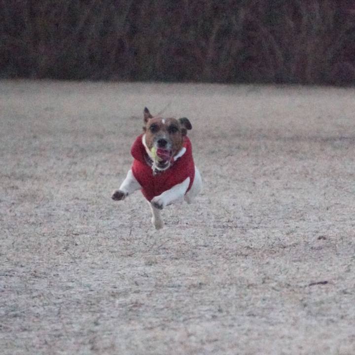 9a67418a 6d32 4de4 8f97 2767078a1bb0 1547592551433