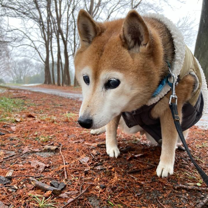 9a6753e7 4c1e 4fad b512 00acce3a343f 1741150779542