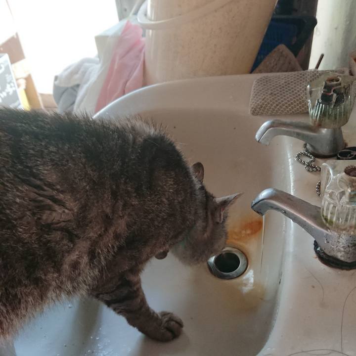 9a677682 3a8e 4341 a376 9290ca74e5f2 1564436308436