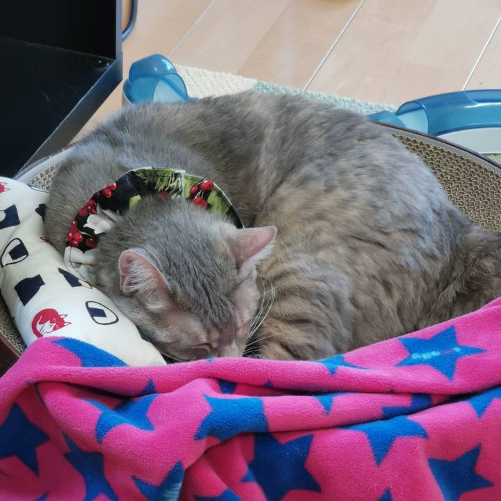 9a679070 10b9 4dc5 8276 6678eb4cbb36 1651464388410