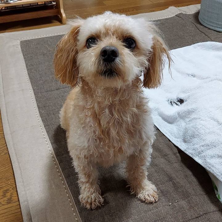 9a67b309 0092 458a 8360 6e9c987fe023 1661683387609