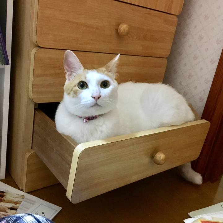 9a67d34d 37cb 4dfd 81fb dd1e3348ccd5 1526654832716