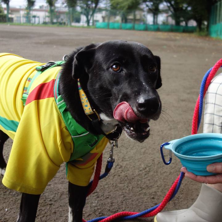 9a684e71 e980 49dd a56e e9f7fba6c3fe 1599433723799