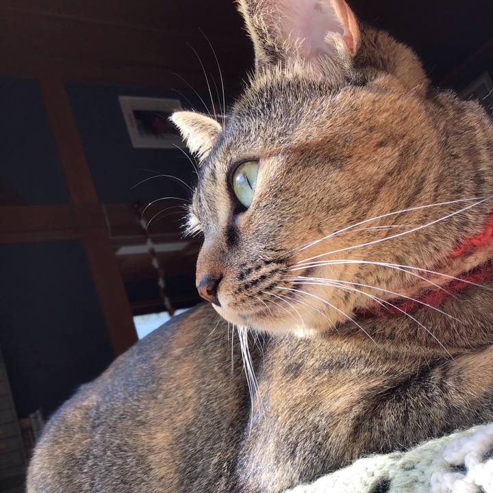 9a68531e d6bb 452e bb9d 5de2bff4b572 1633749646497