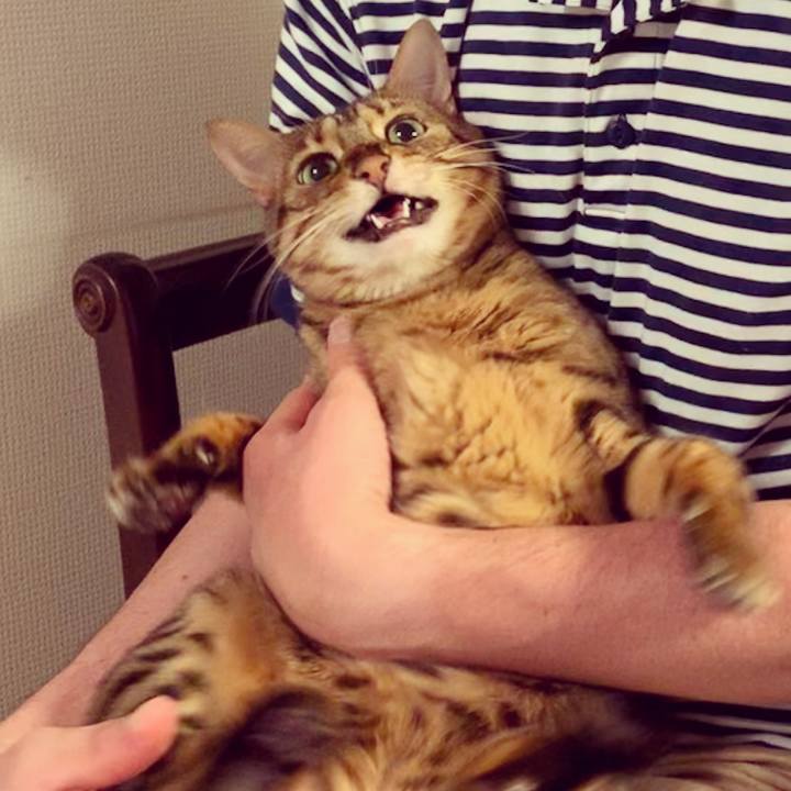 9a68632f 4934 4498 a74e 18de710f4097 1568255394063