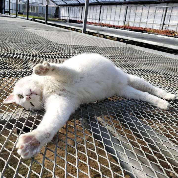 9a68a510 5475 4703 a5f2 af2330b39bdc 1761833872071