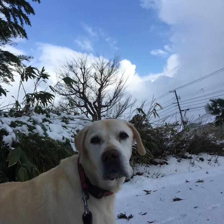 9a68cc0c b7c4 4881 b404 ea41cf0bb28c 1514942407593