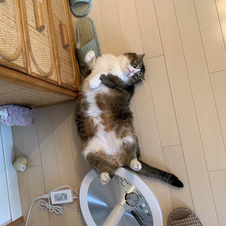 9a68e58c b162 427e 9713 67041c448129 1567047909609