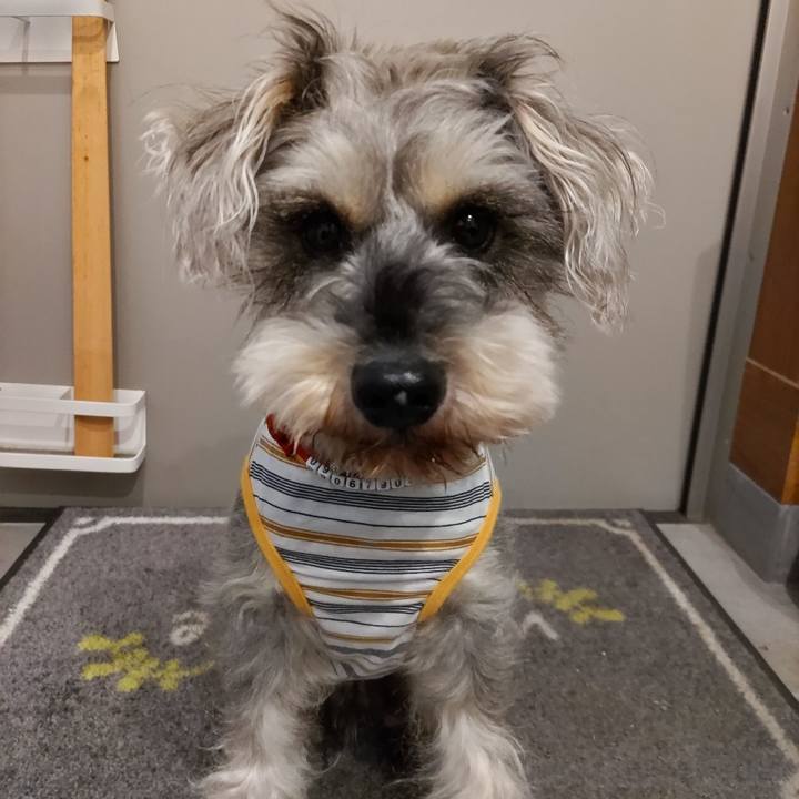 9a68f900 818a 4498 811c 510c82dd63cc 1684452256455