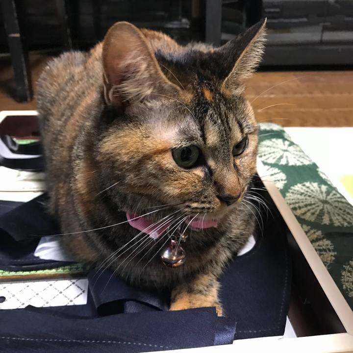 9a696810 0347 444f a033 41b42e50703d 1512370780694