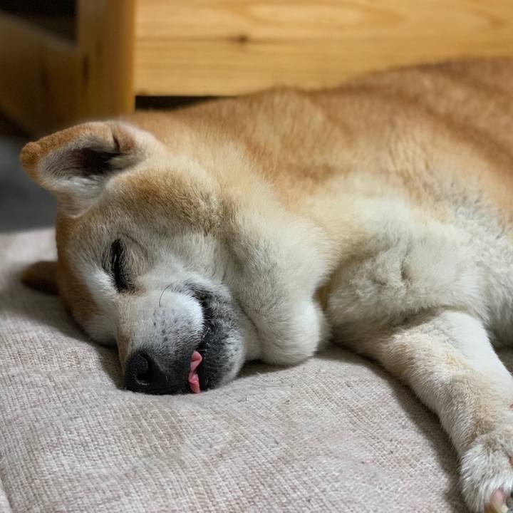 9a698510 c192 43aa 915c 563c5a69ee29 1559176398714