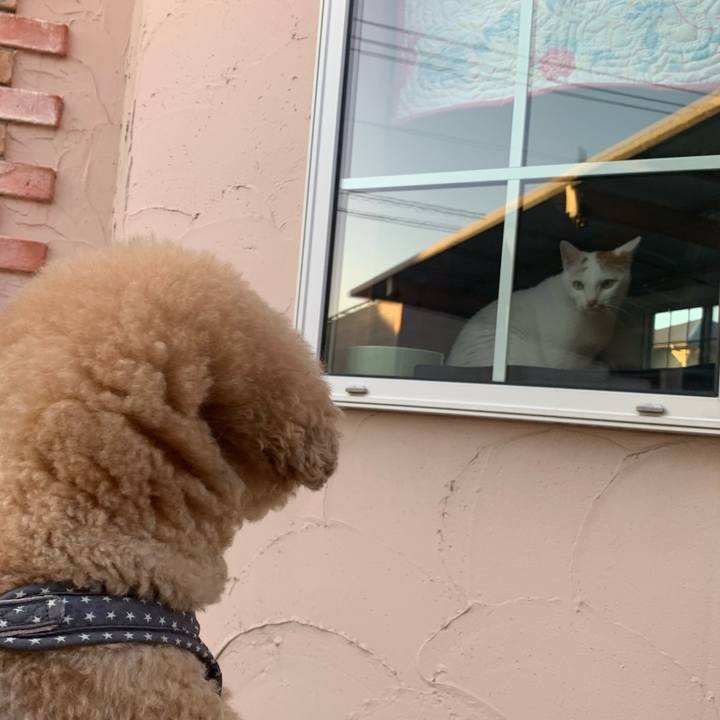 9a69aebf 4ffc 4629 ada4 24254b202b8d 1588767874675