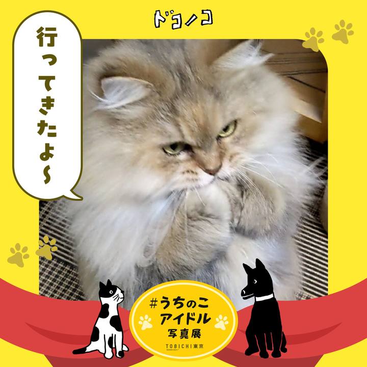 9a69d4af 5cca 4901 af2f 50133c844b80 1761526637286