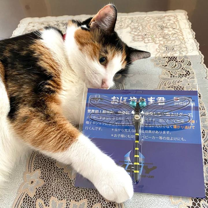 9a69eb18 b52d 411d 8e5a 3b26e3dff5cd 1630645932083