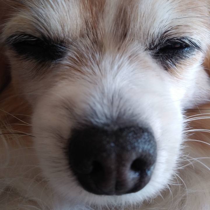 9a69ffc1 cb2b 4b4a bb8e e38dcab8a830 1547954319537