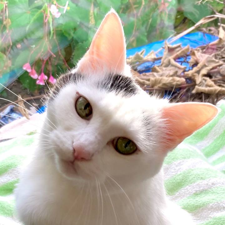 9a6a3979 7dac 47b6 8c10 79da2e86abd2 1634182492635